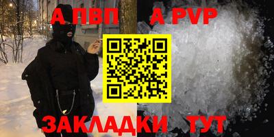твердый Кингисепп