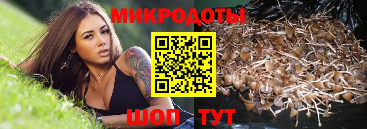 Галлюциногенные грибы Psilocybine cubensis  Вход с VPN  Псилоцибиновые грибы MAGIC MUSHROOMS  Лобня 